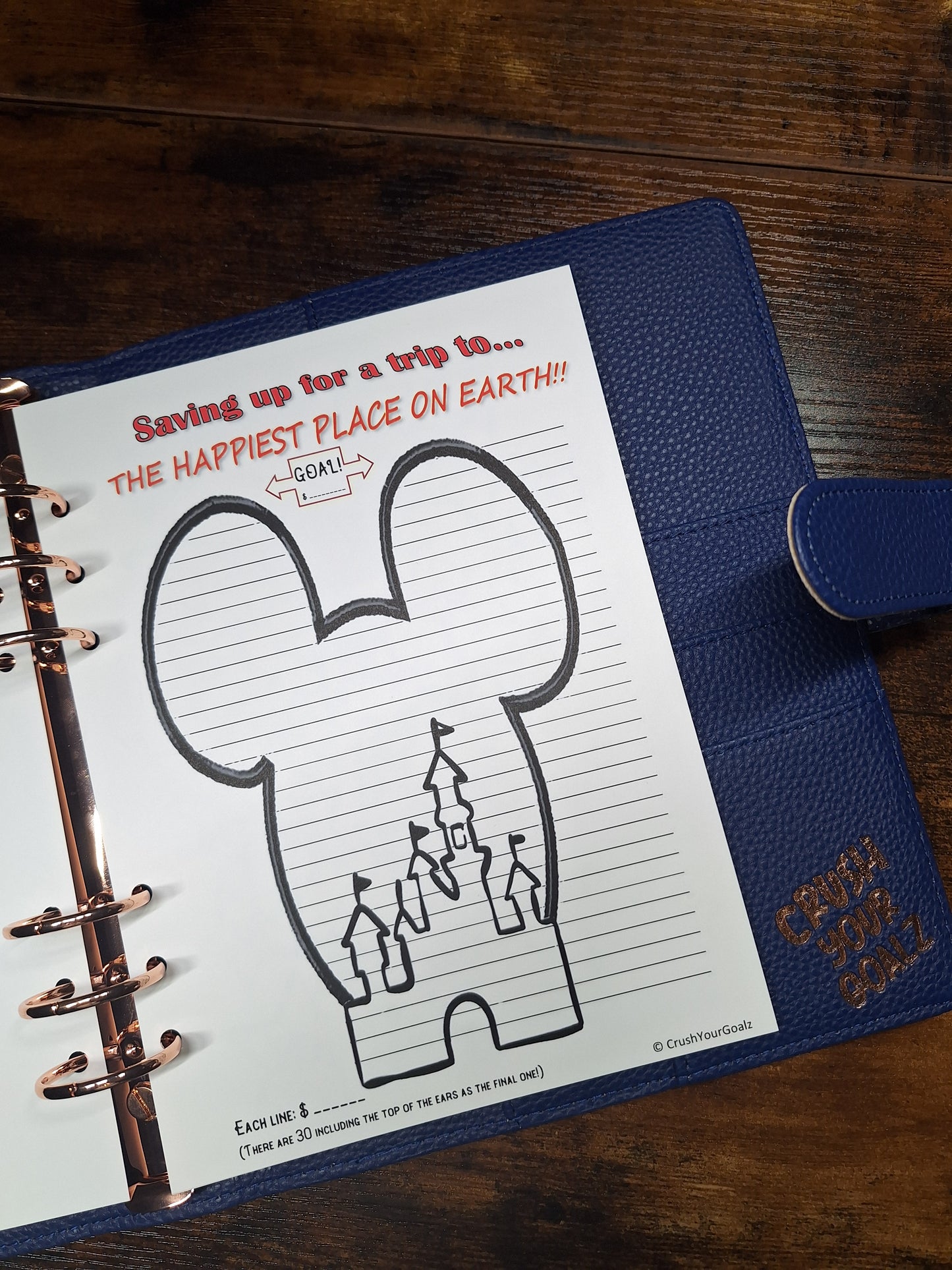 Saving for Disney Chart, Disneyland Savings, Disneyworld Savings, Goal Chart - A5 Size