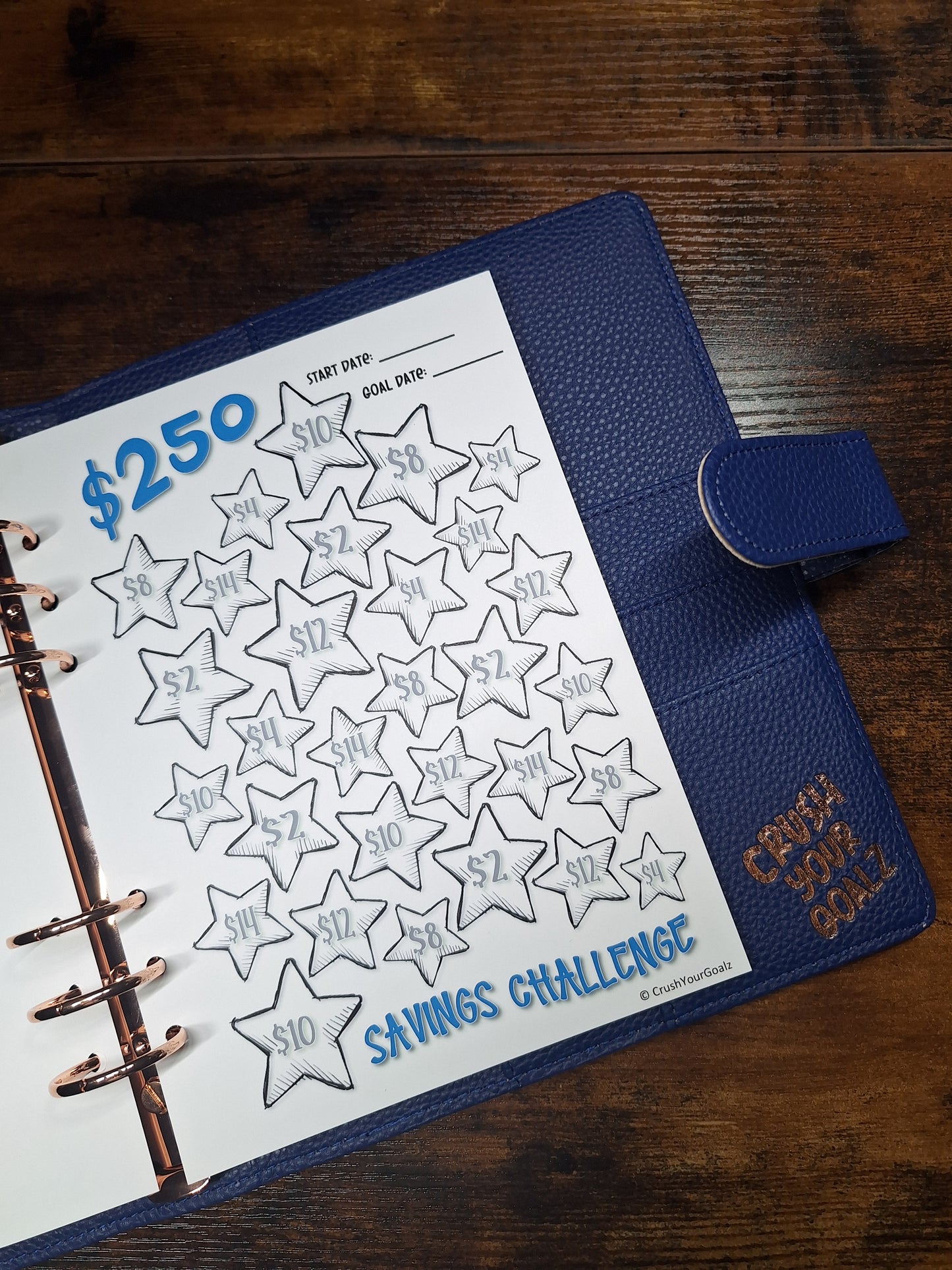$250 Savings Chart, Fun Savings Challenge, Savings Goal Chart  - A5 Size