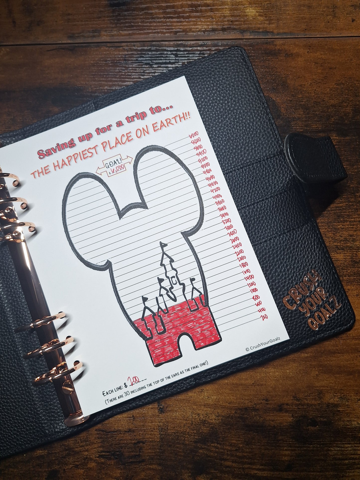 Saving for Disney Chart, Disneyland Savings, Disneyworld Savings, Goal Chart  - A5 Size