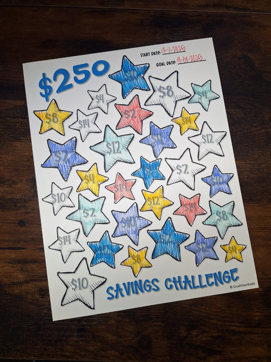 $250 Savings Chart, Fun Savings Challenge, Savings Goal Chart  - 8.5 x 11 Size